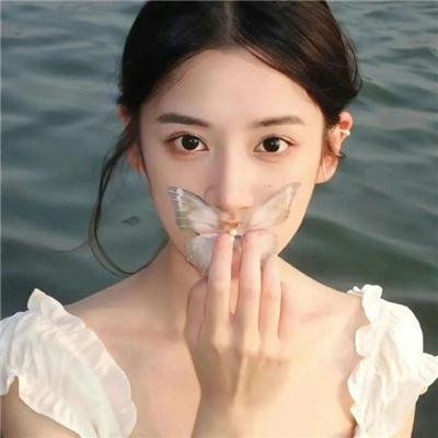 蜂群第一季