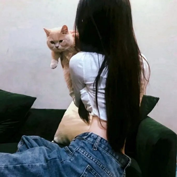 续·社长洋行记